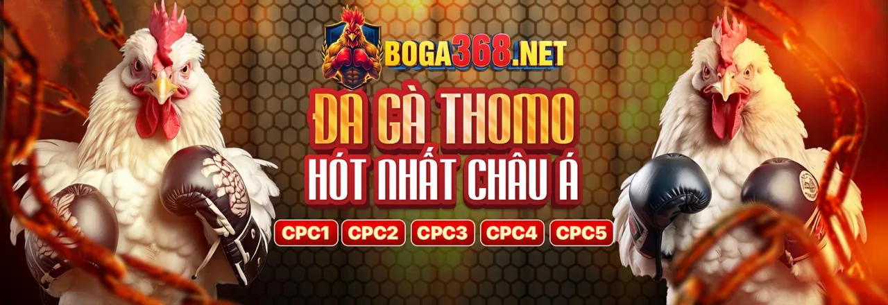 Hình ảnh tổng quan về thị trường cá cược trực tuyến