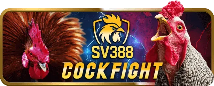 Ưu đãi mới nhất khi đăng nhập 988bet
